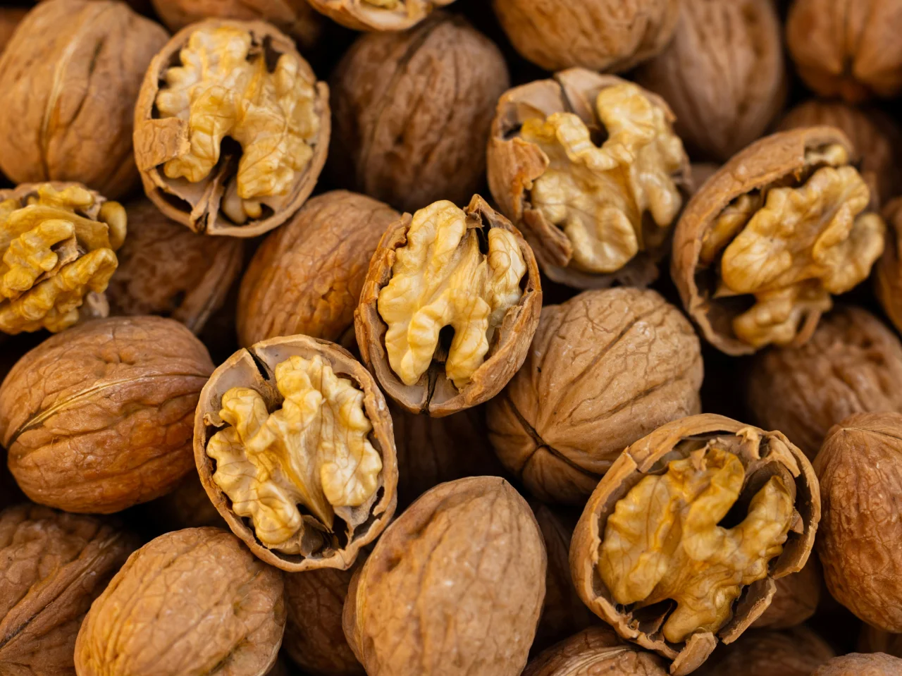 Pile of cracked English walnuts with shells
