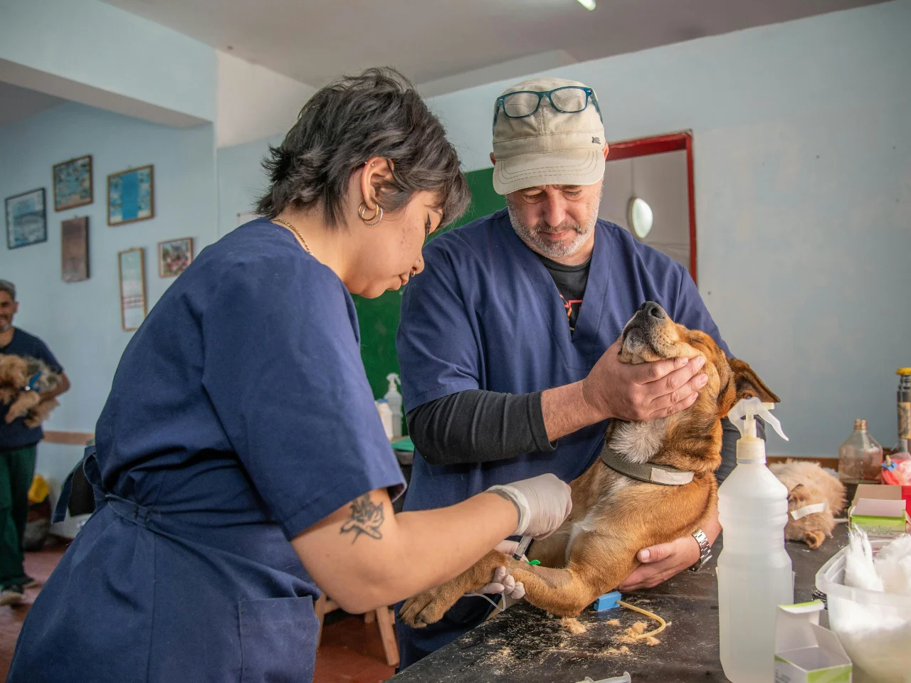 Two people holding a dog in a room, as owners do when getting help after a dog ate walnuts