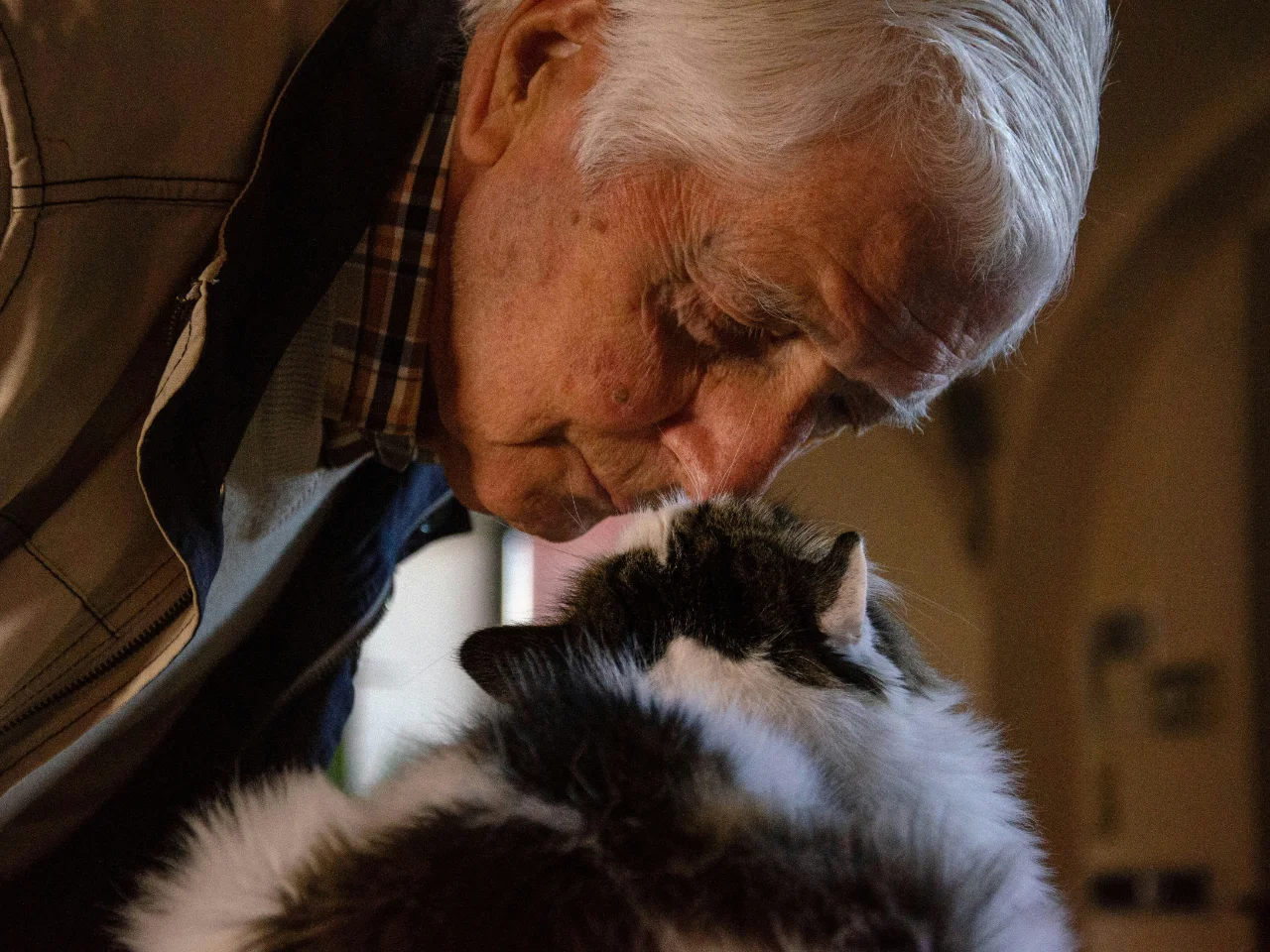 Person holding a black and white cat, as during a joint exam