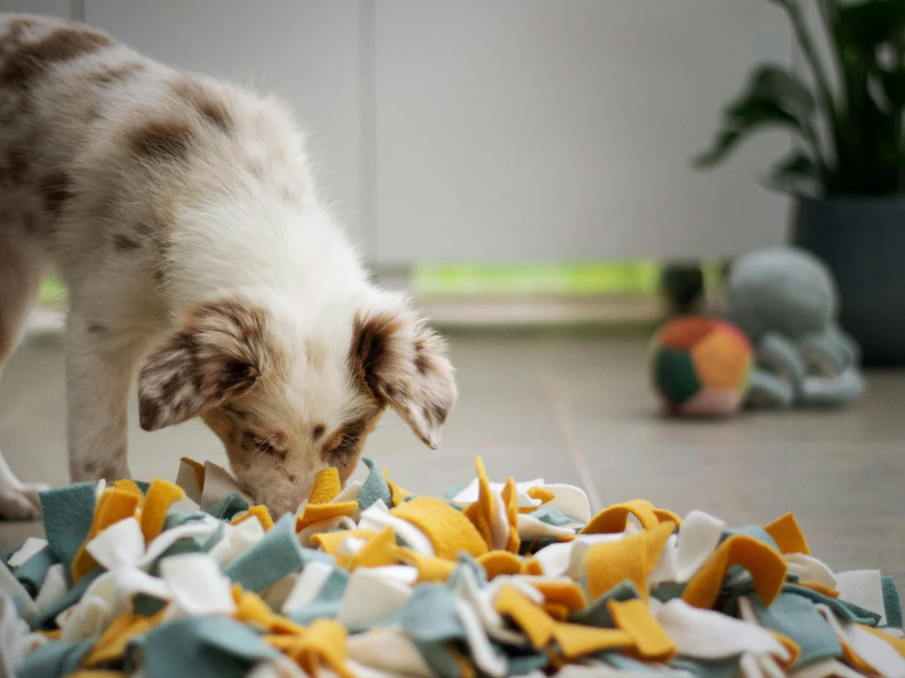 Puppy playing in a pile of shredded paper it chewed up