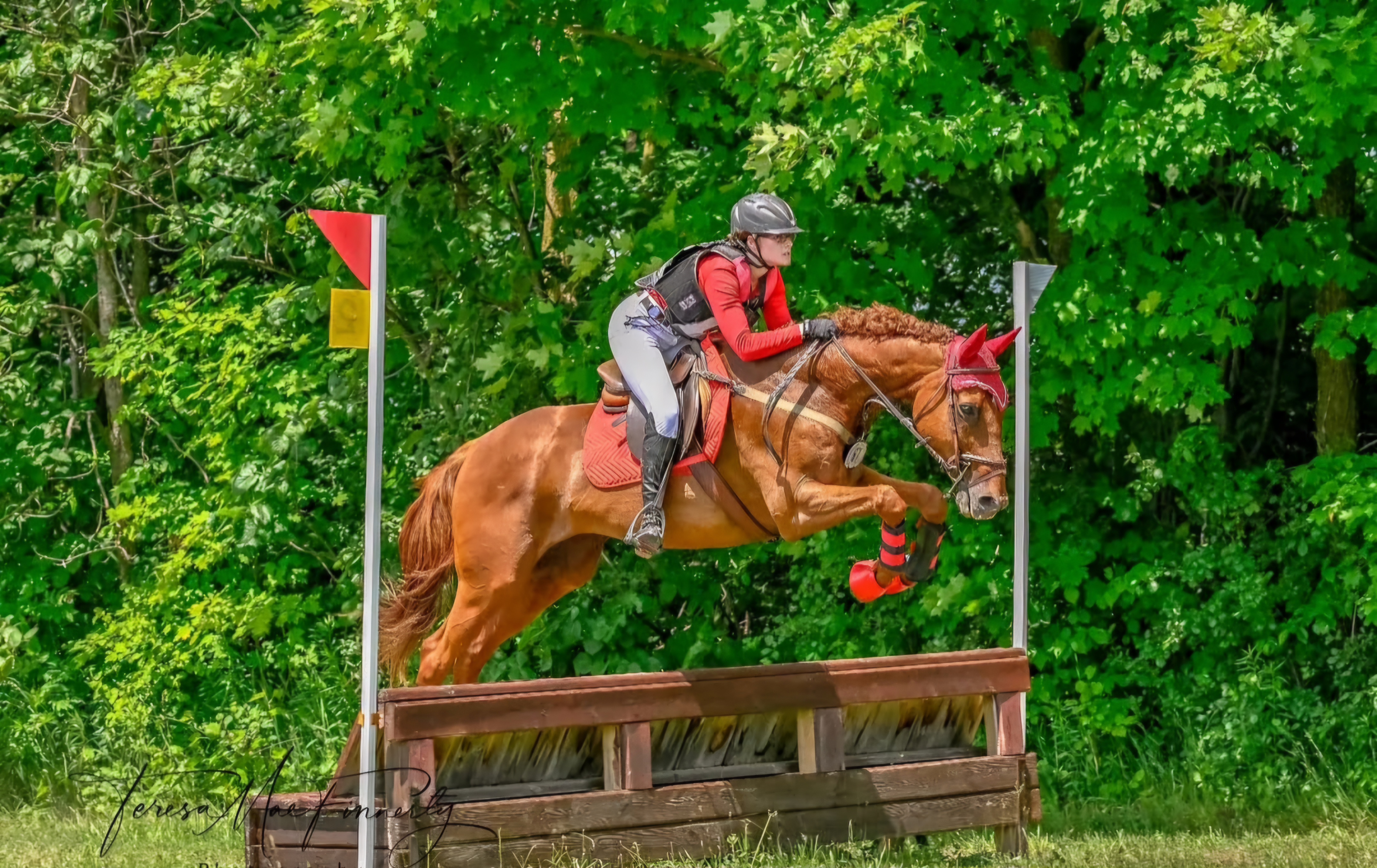 Horse and rider jumping