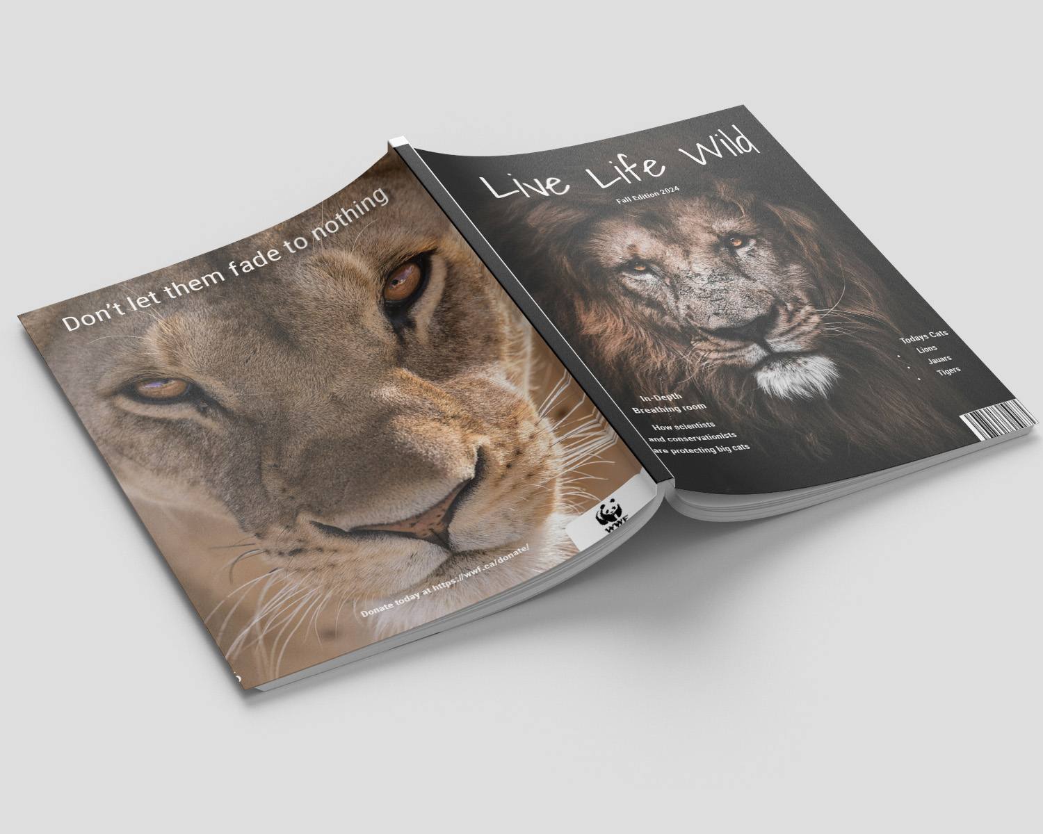 magazine cover mockup