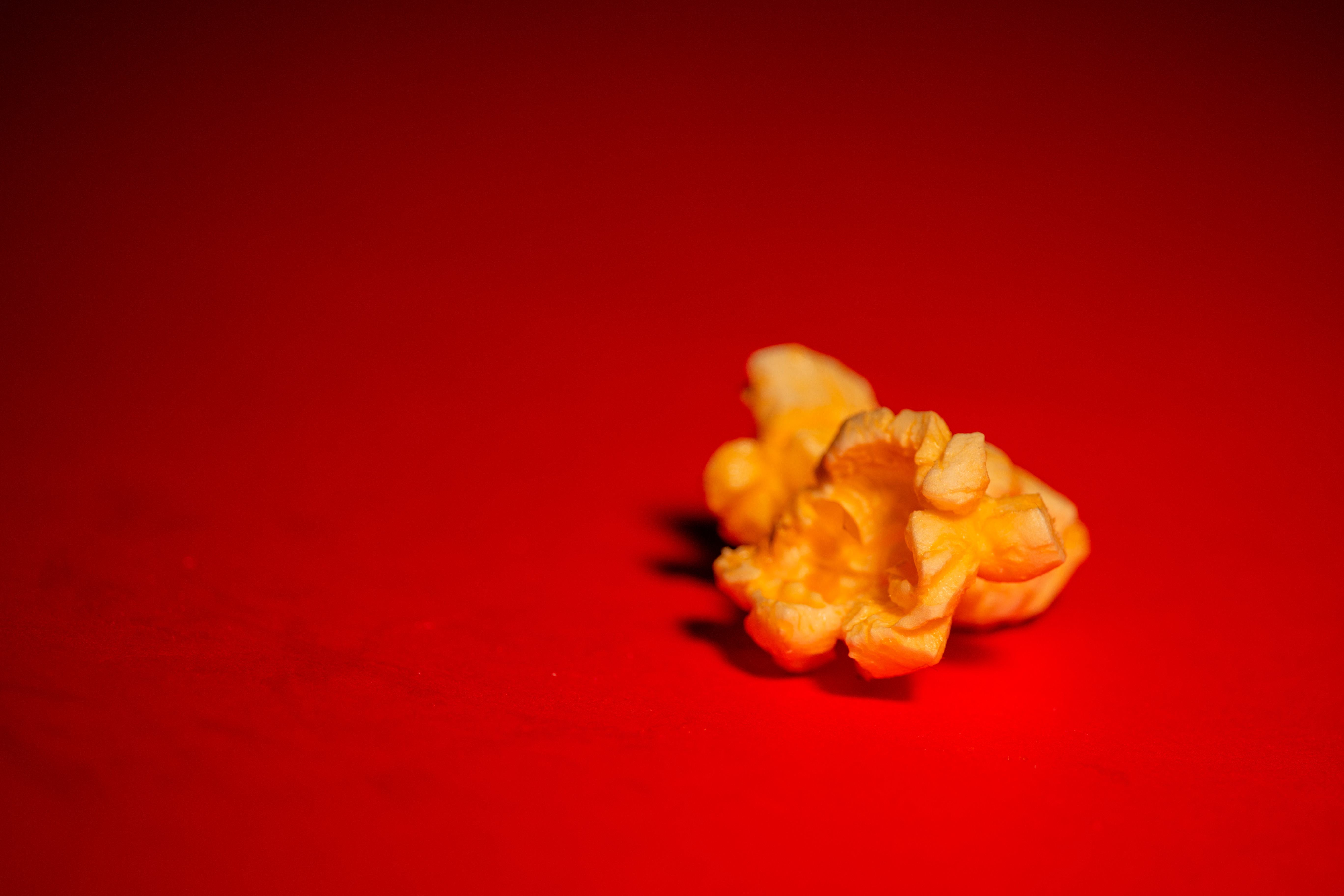 Single piece of popcorn on a red background 