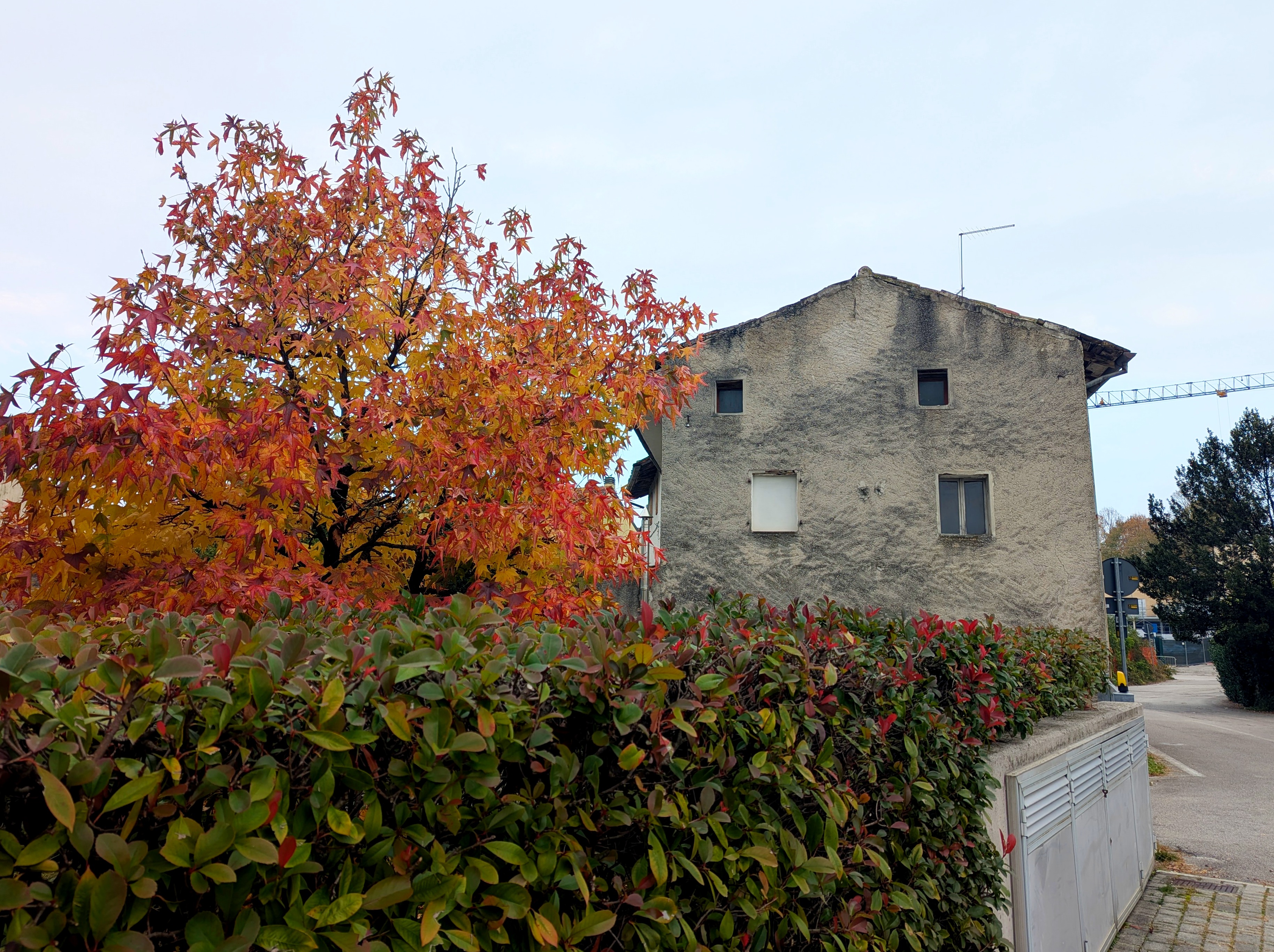 TC420 PORDENONE - CASA SCHIERA CON GIARDINO E GARAGE