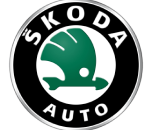 ремонт електрики skoda