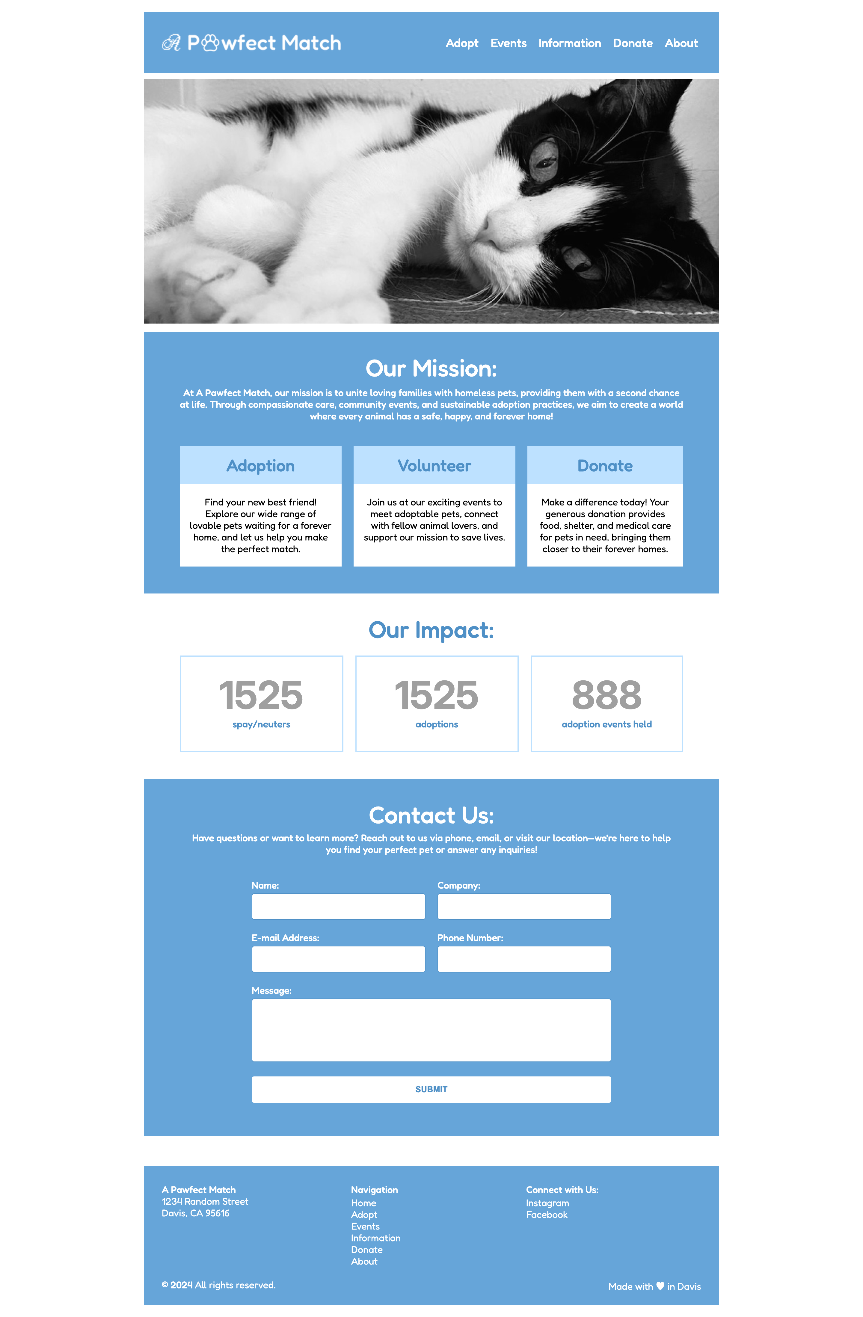home page of DES111 website
