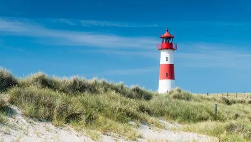 Wie wir Unternehmen aus Schleswig-Holstein beim Recruiting unterstützen