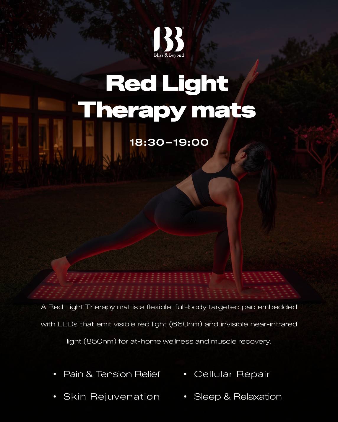 Organiser’s red-light mat poster