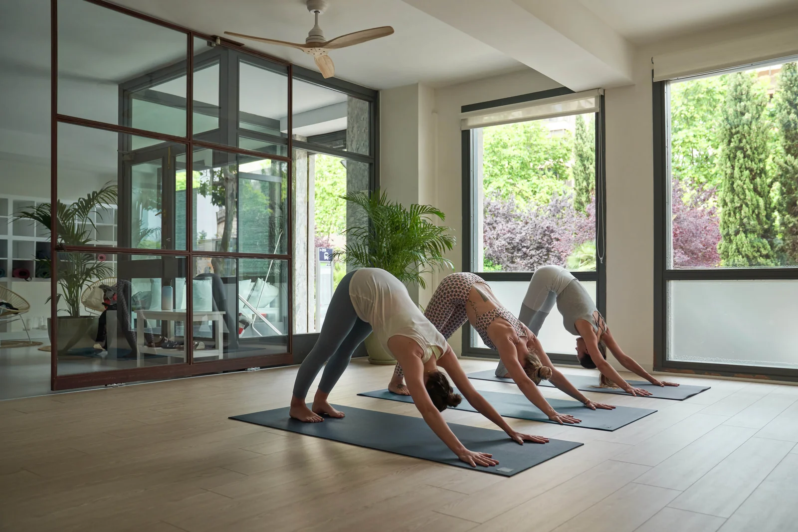 Yoga students practising downward-facing dog in a sunlit studio
