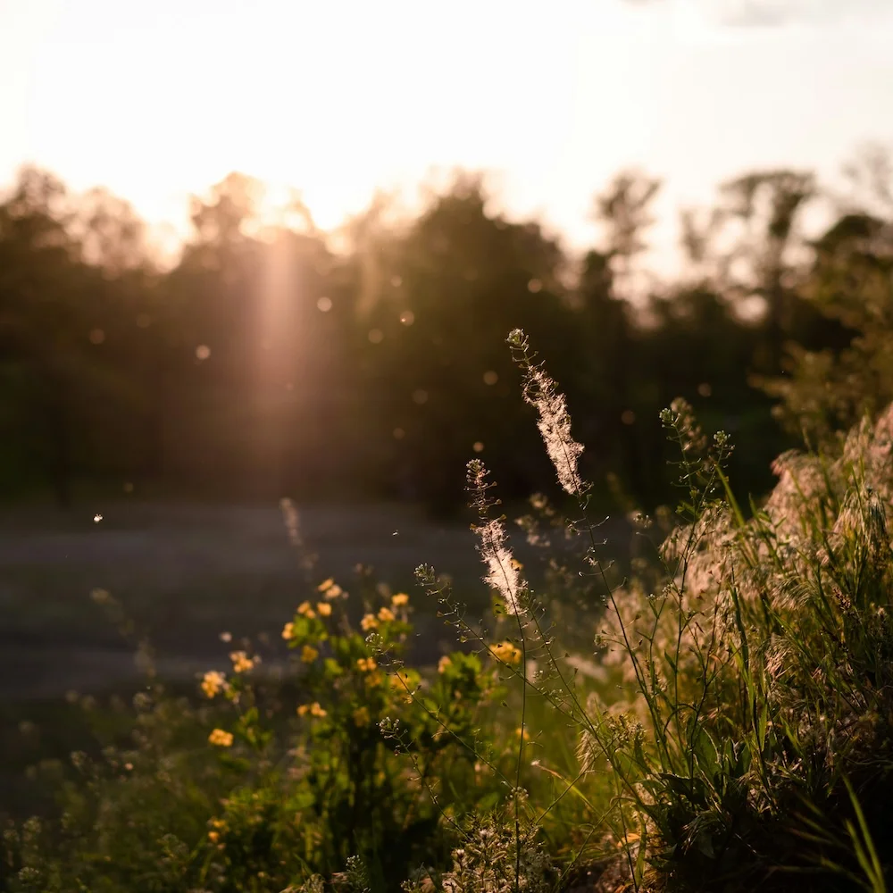 Allergien und Intoleranzen behandeln in Berlin Mitte