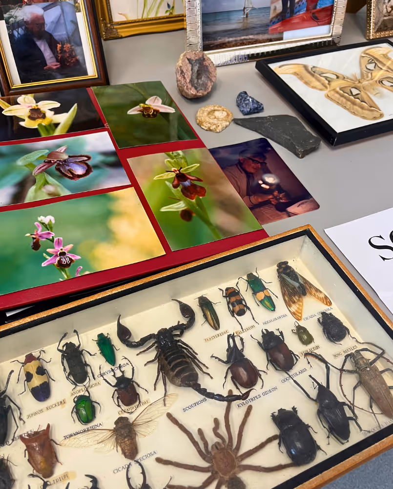 A collection of insects and photographs of rare orchids