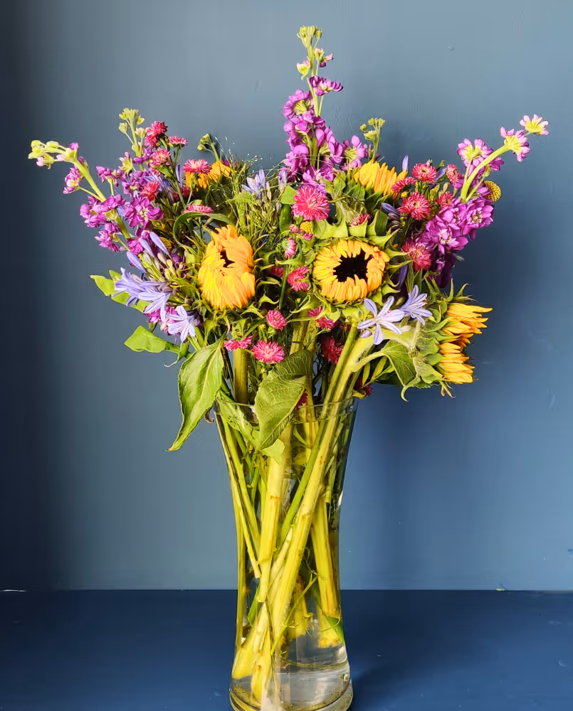 Ring exchanges in a wild woodland wedding in North Wales 