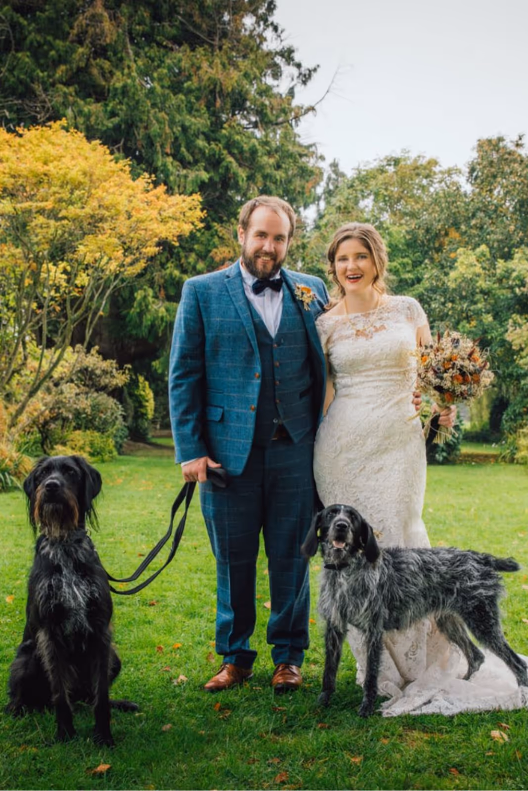Dogs and their owners on their wedding day