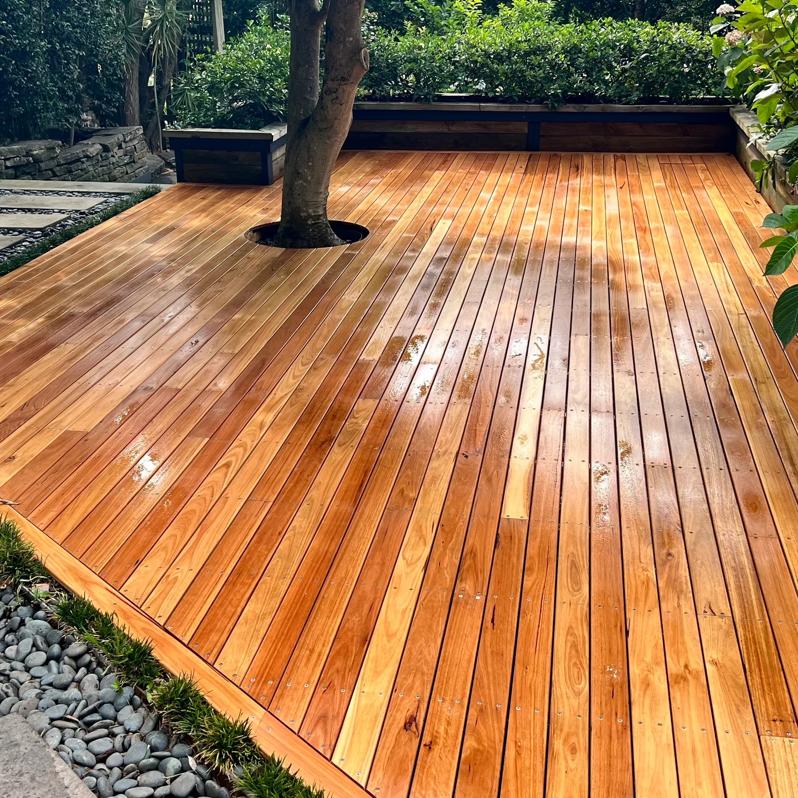Completed spotted gum timber deck with stainless steel balustrade overlooking Sydney harbour