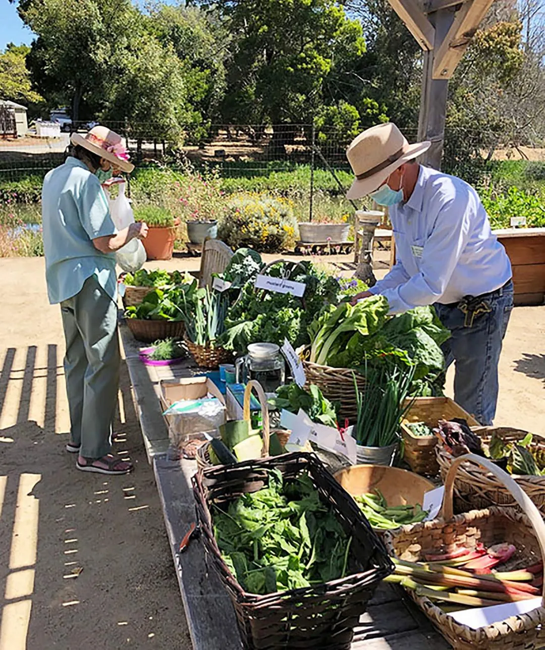 Robert S. Scott Organic Garden