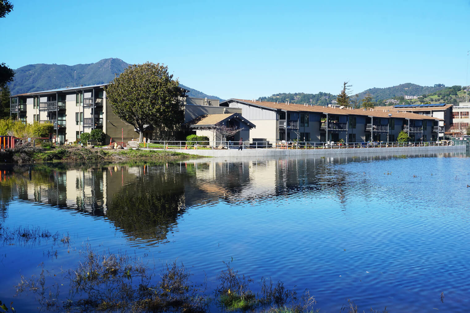 The Redwoods Celebrates its 49th Anniversary