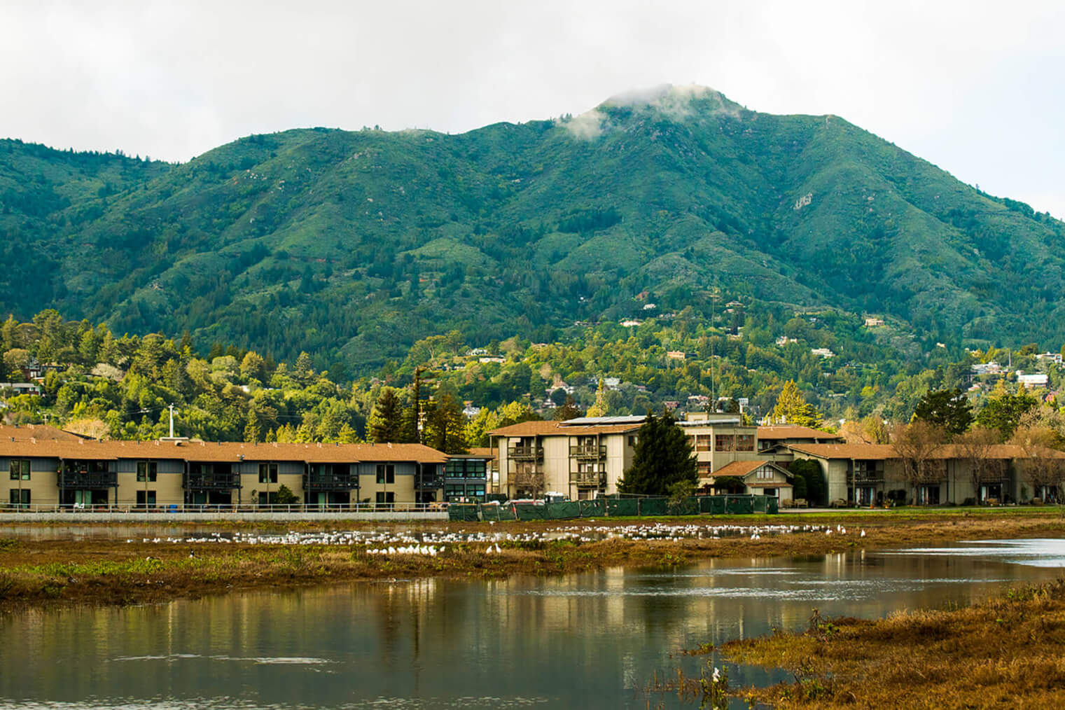 There’s a lot you probably don’t know about The Redwoods, A Community of Seniors