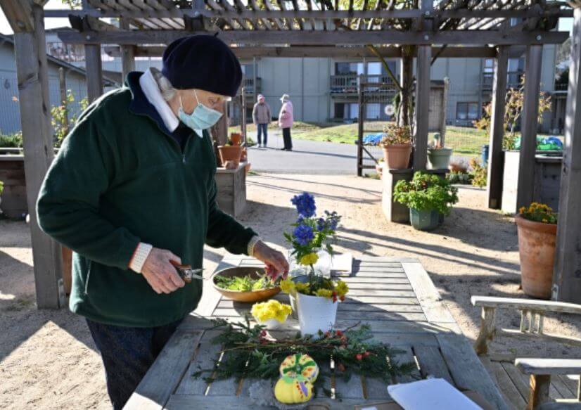 Mill Valley Seniors Complex The Redwoods Marks 50 Years