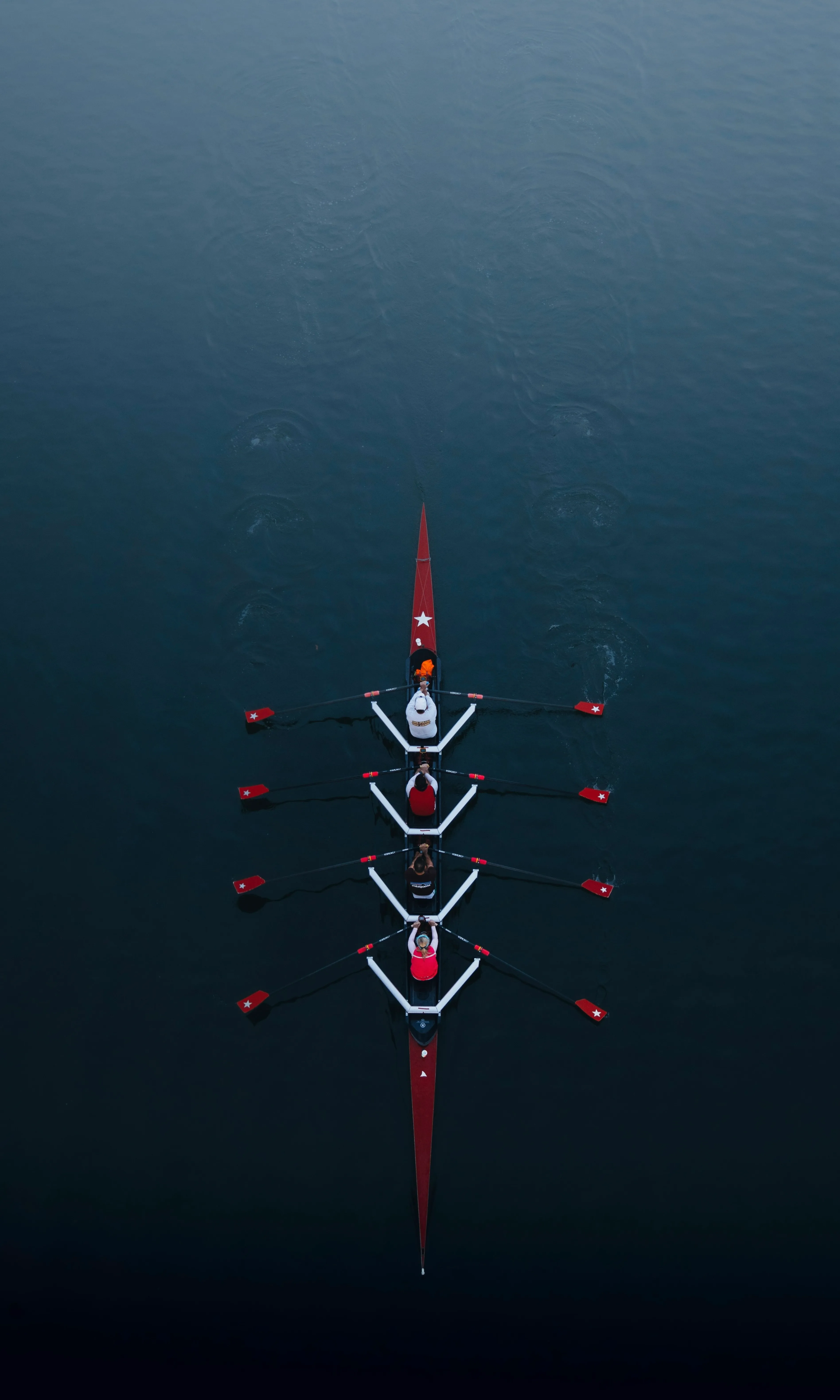 Career Journey - Bröder Ruckh Coaching