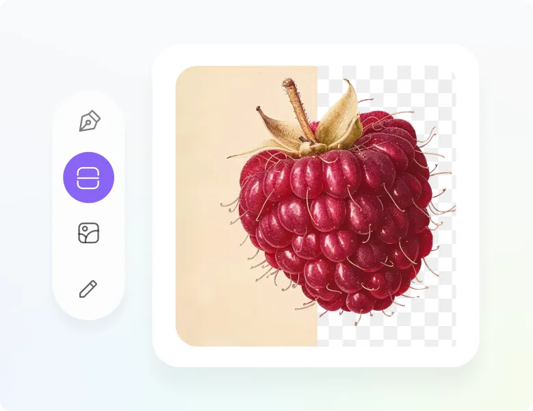 Background removal tool applied to raspberry illustration