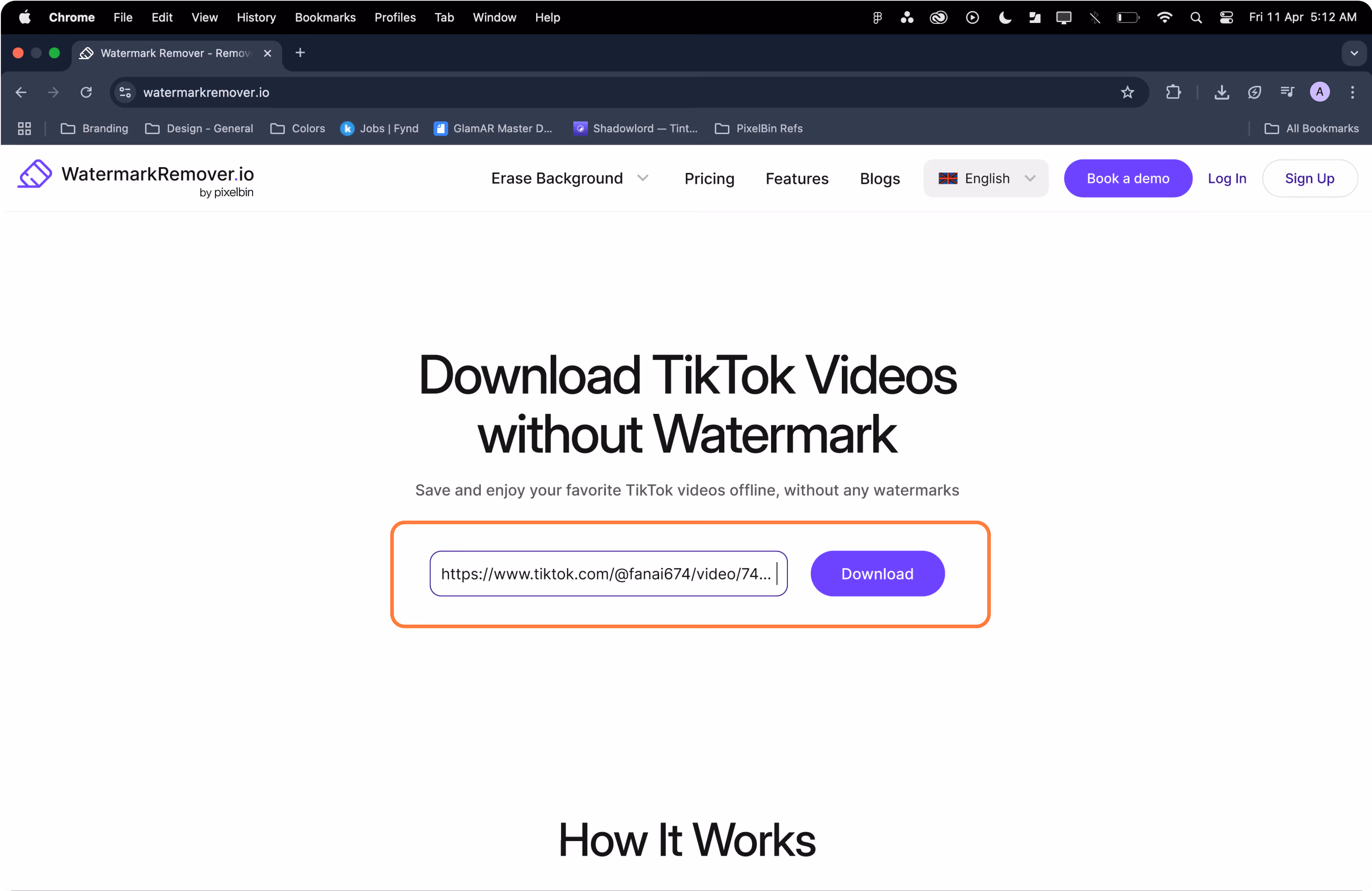 Paste TikTok Video URL