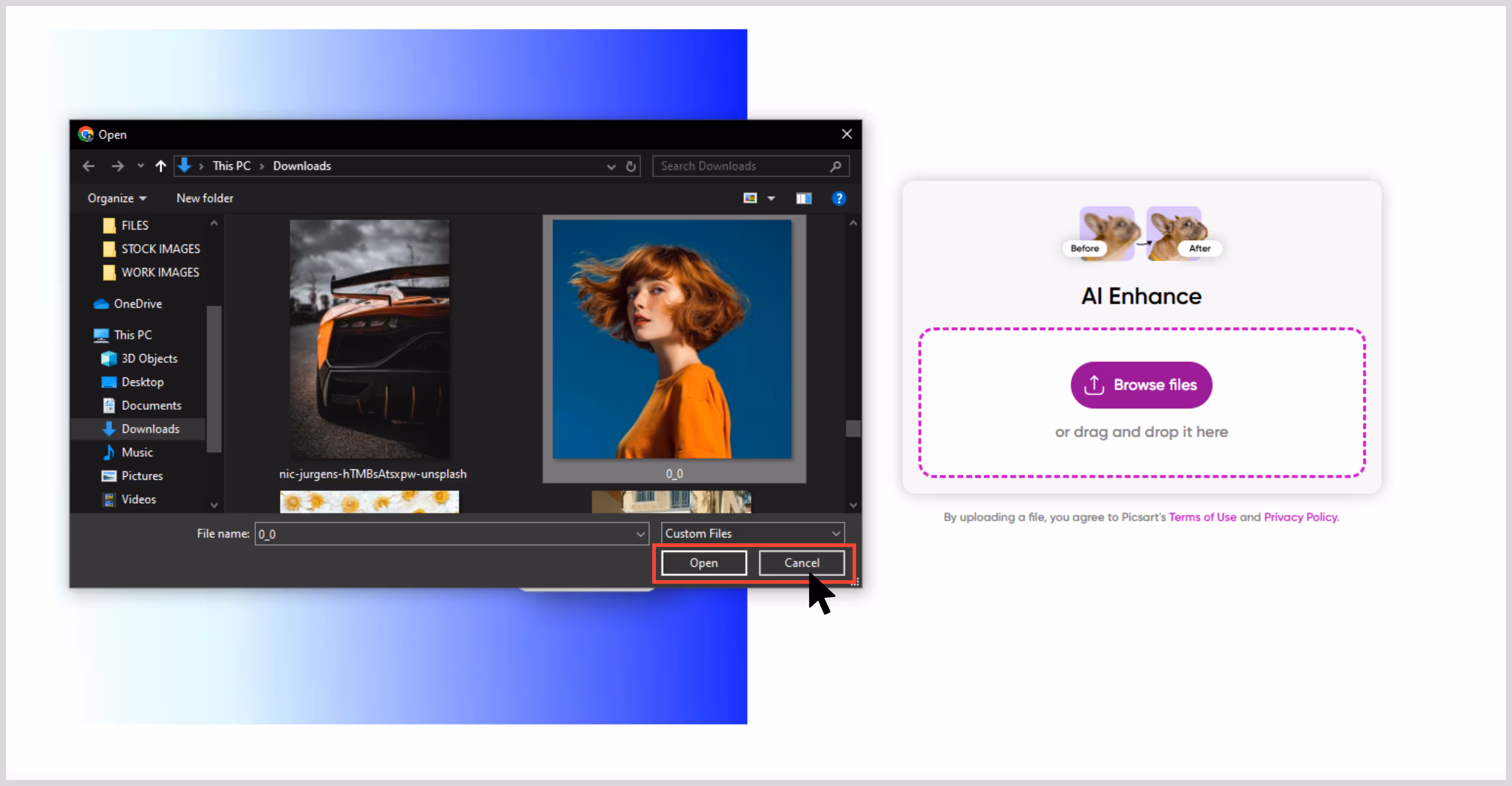 Choose form browser