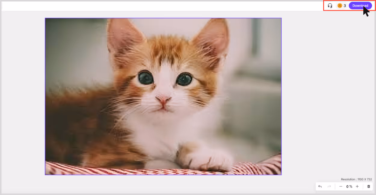 Preview and download your upscaled image