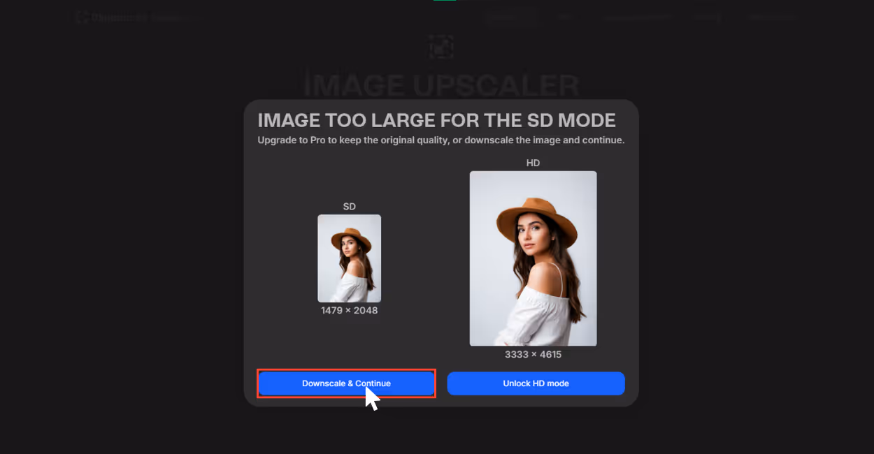 Download the image