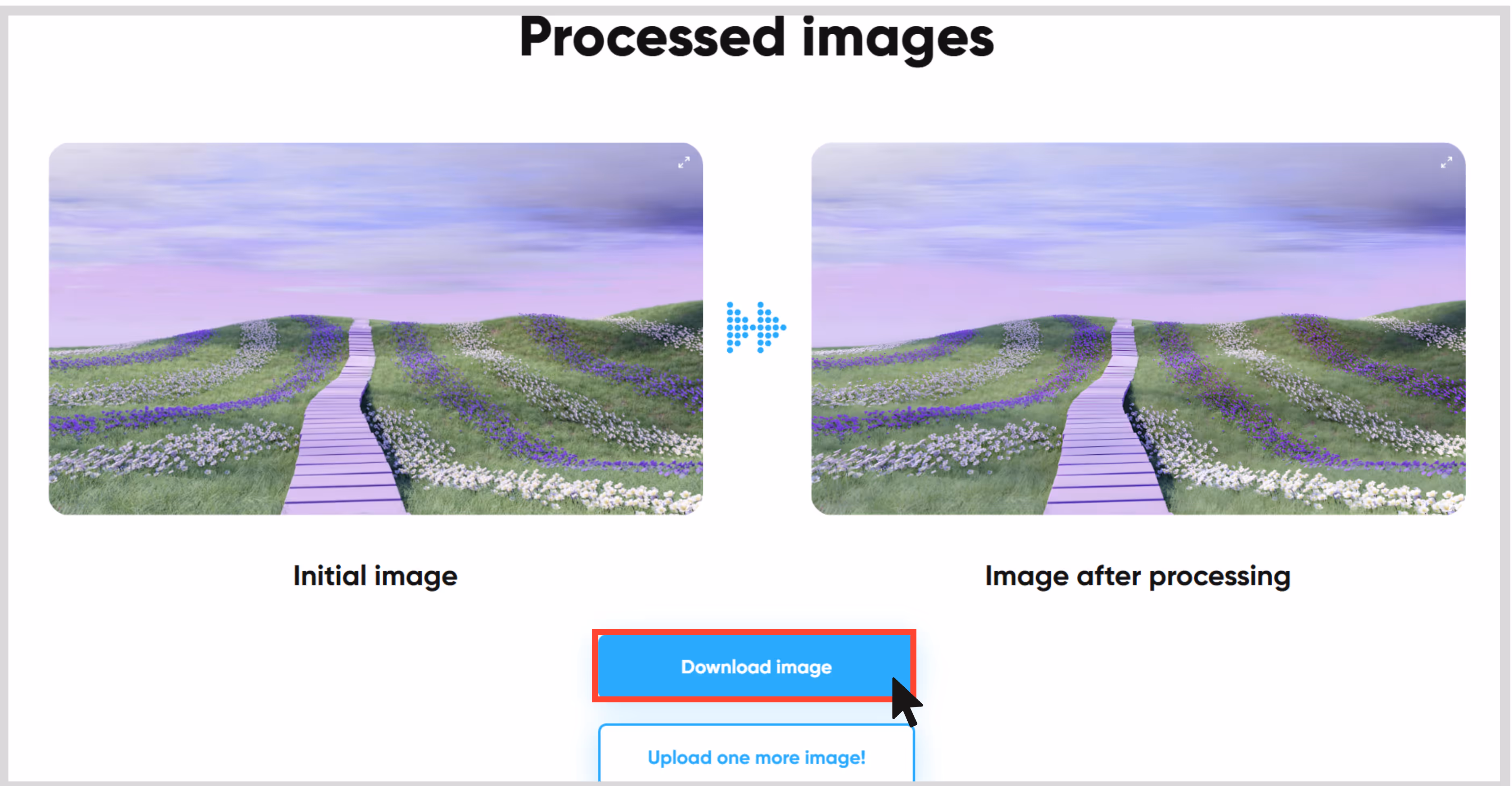 Click On start Processing 