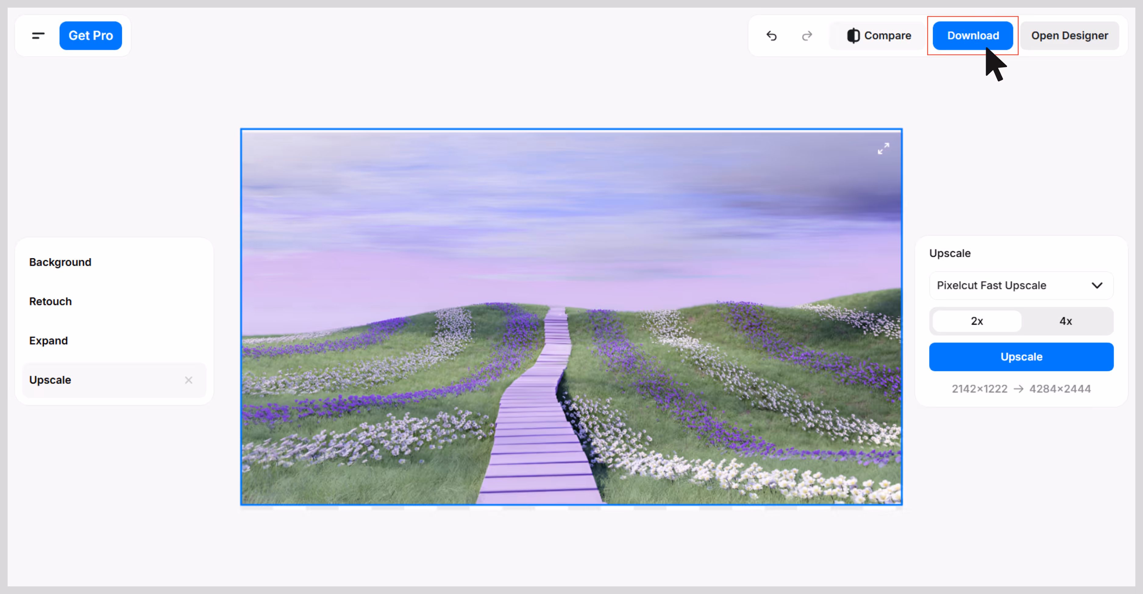 upscaled image