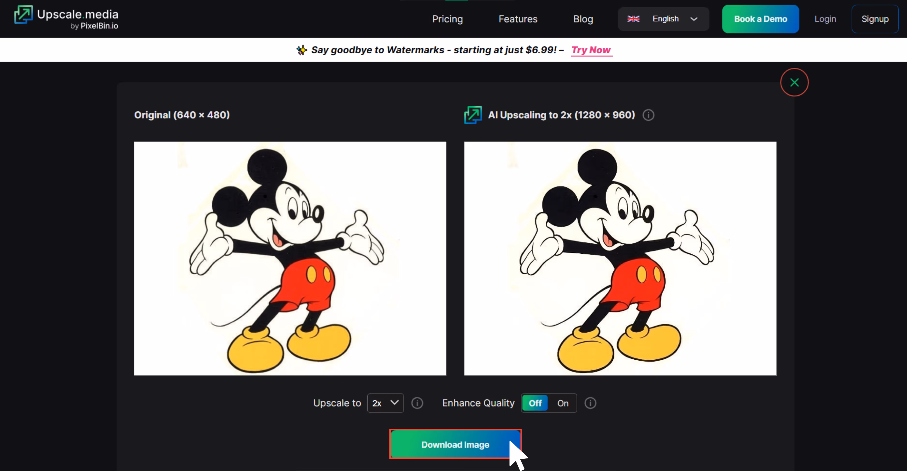 Download Upscaled Image