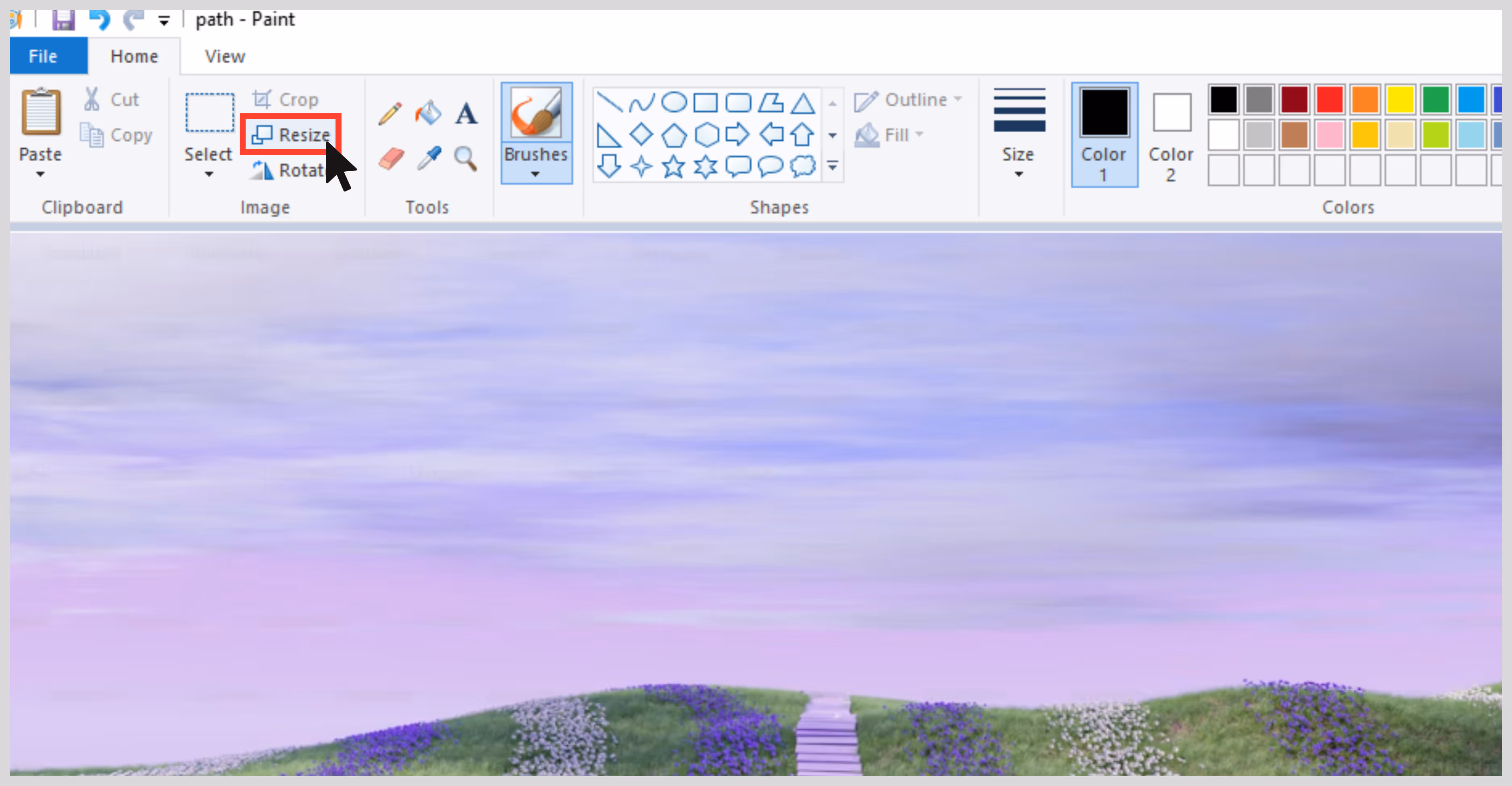 Click on Resize