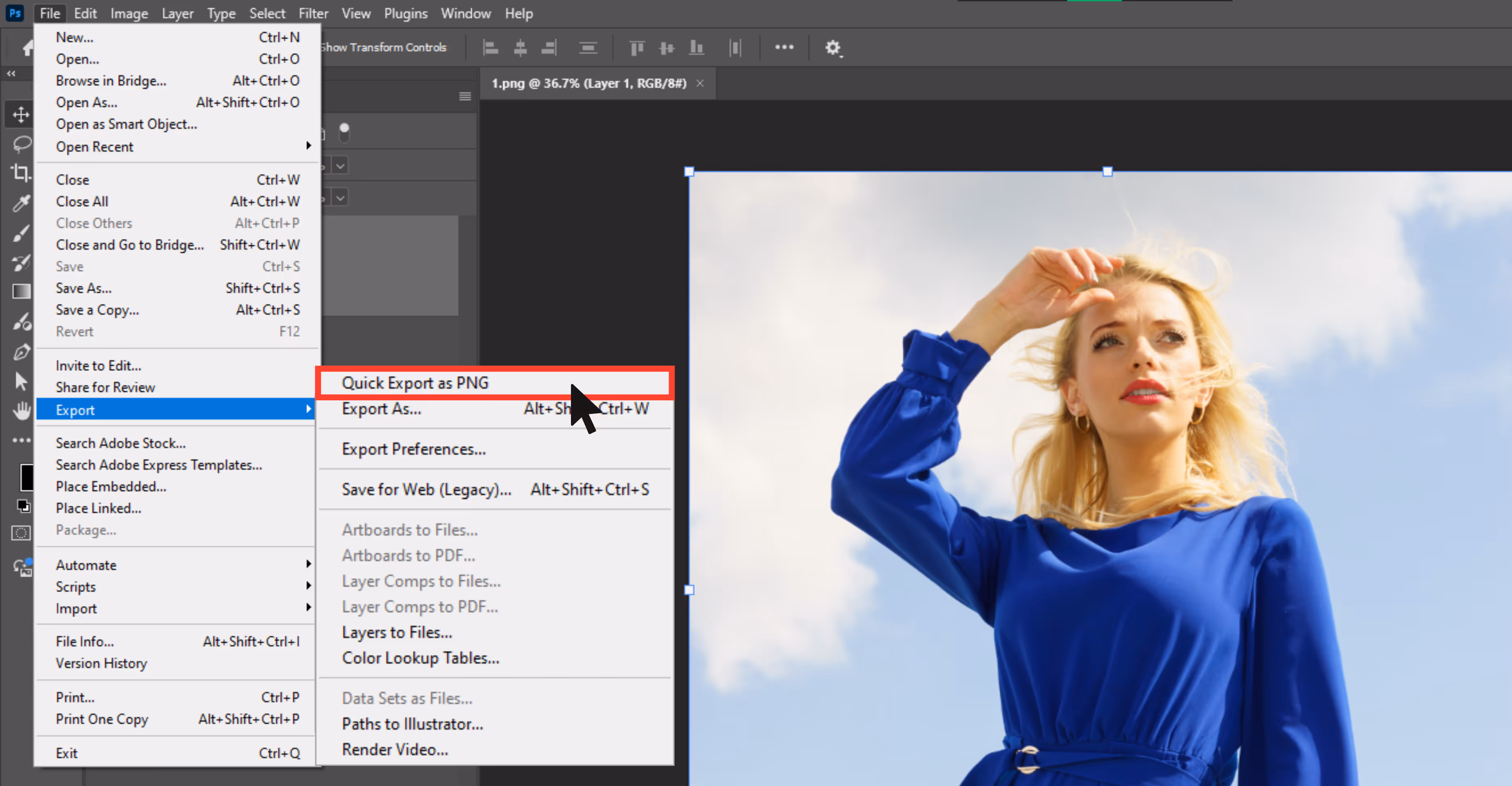 Export the image in PNG format.
