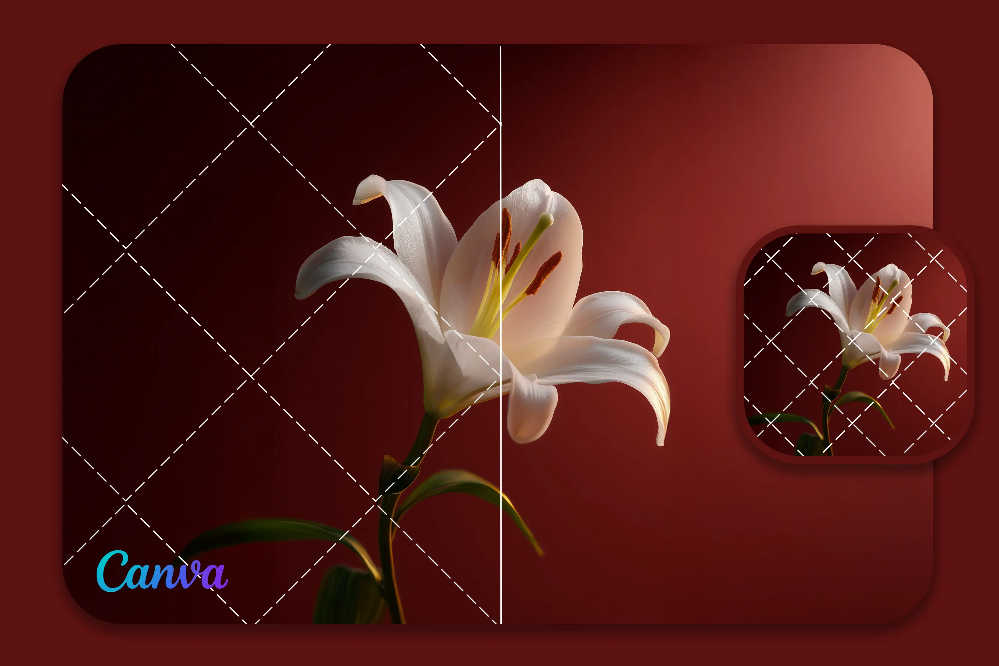 How to Remove Watermark from Photos in Canva