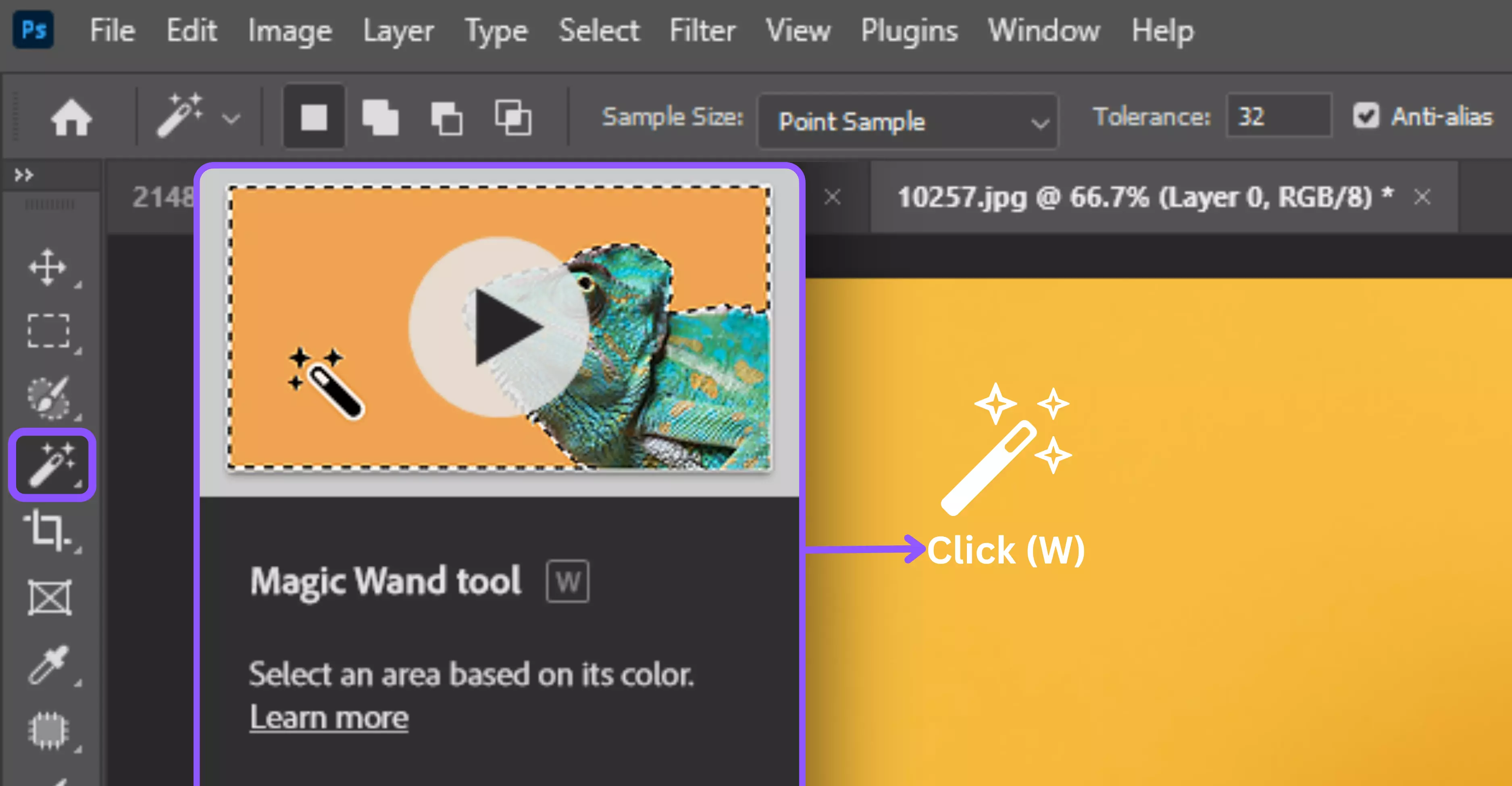 Select the Magic Wand Tool from the toolbar