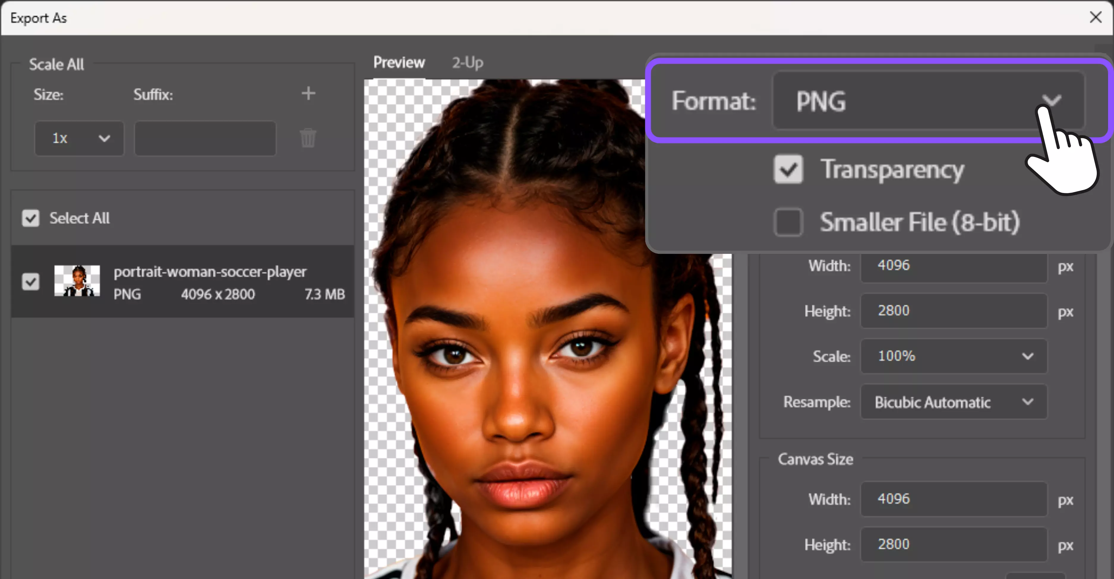 PSD to preserve the editable mask