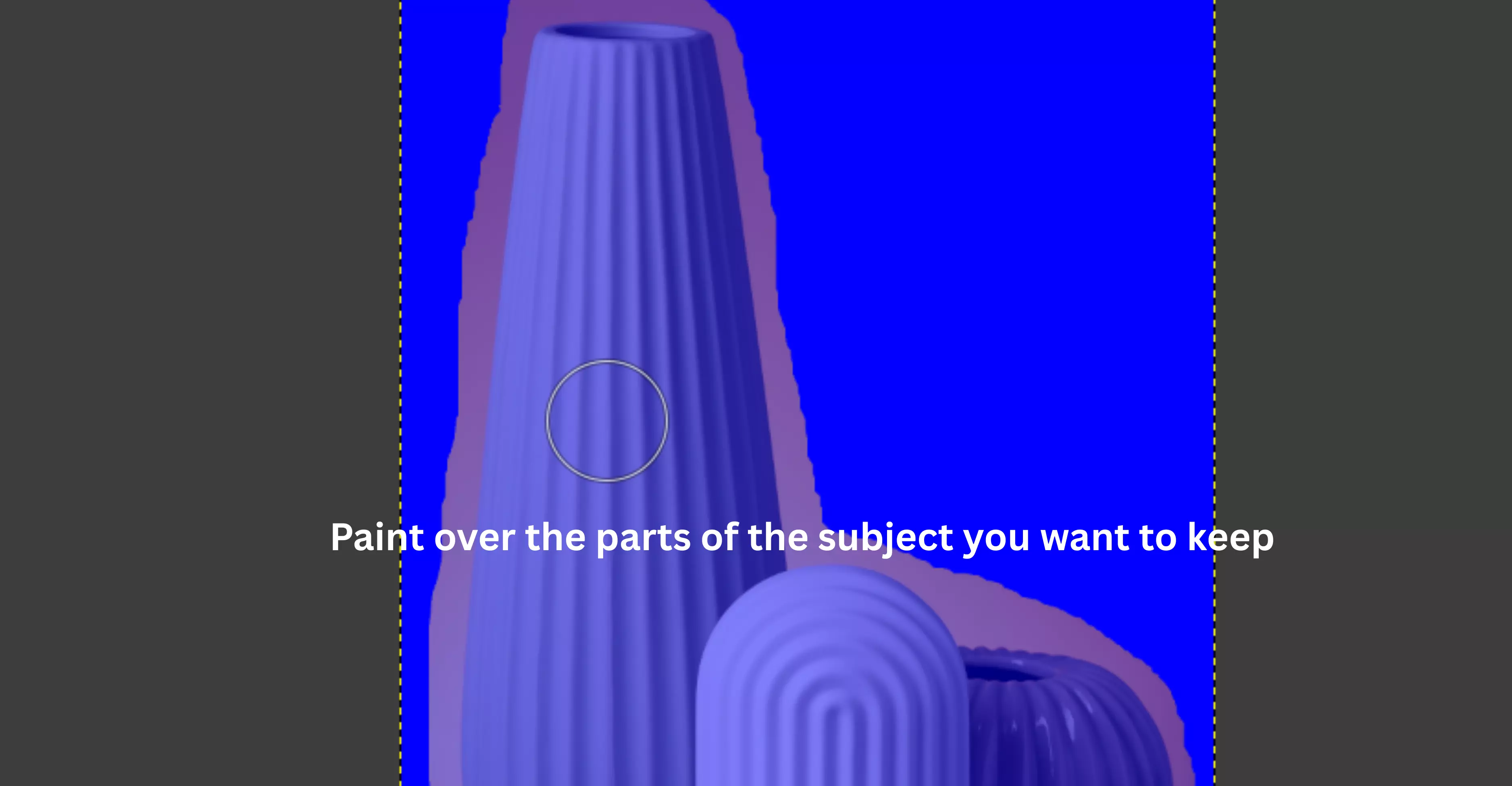 grab the brush and paint over the parts of the subject you want to keep