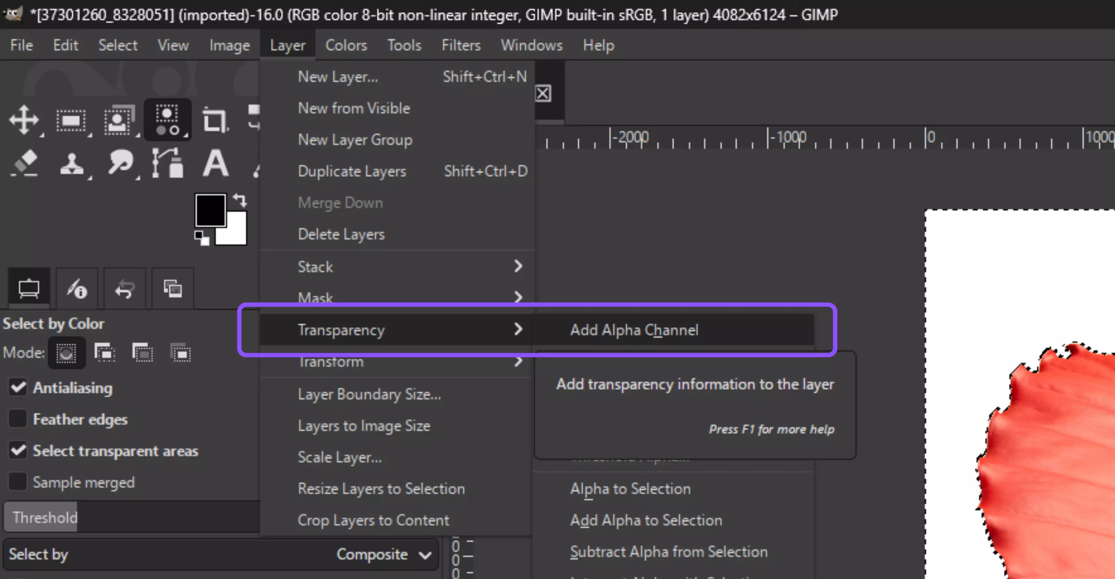 Layer → Transparency → Add Alpha Channel