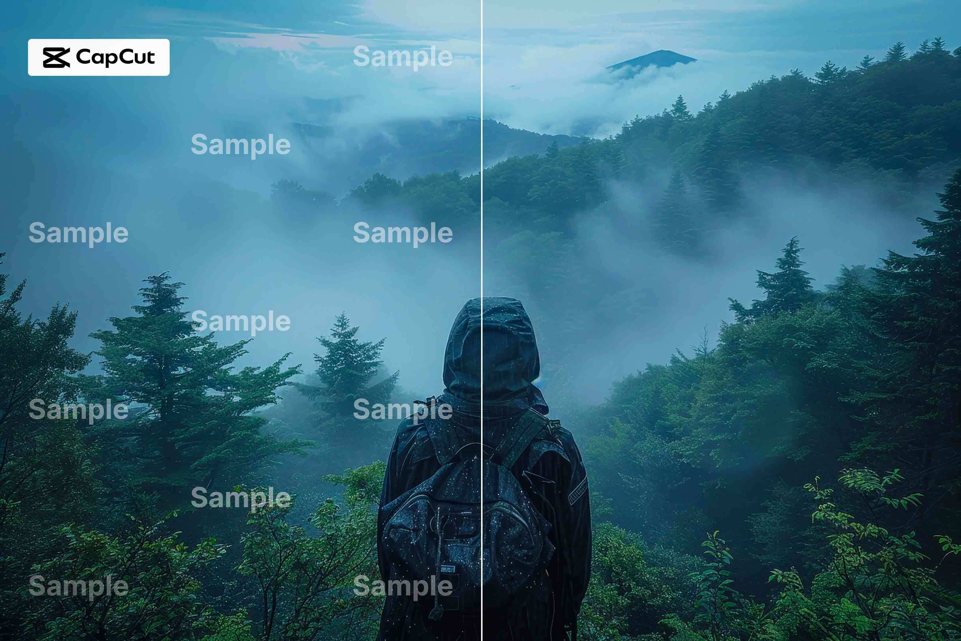 how to remove capcut watermark