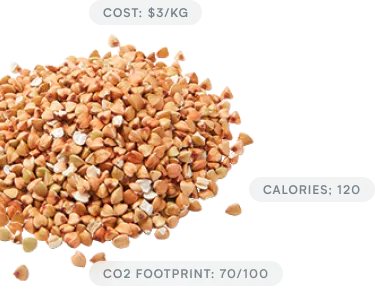 Journey High-resolution image of food-grade ingredients analyzed by Journey Foods