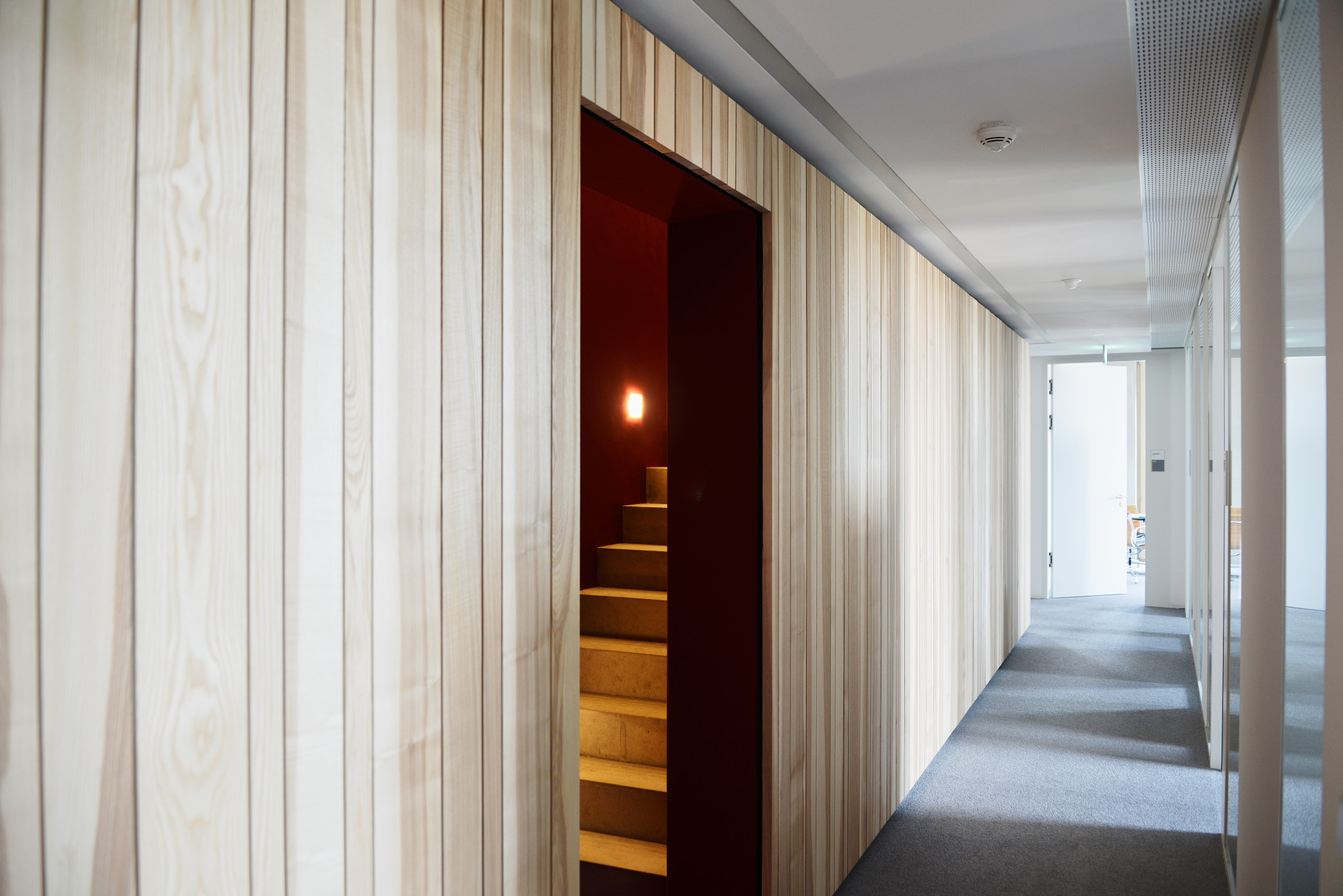 Heller Büroflur mit Türen und Treppe.