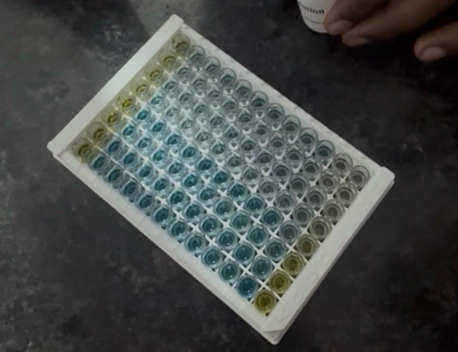 Laboratory testing photograph 2