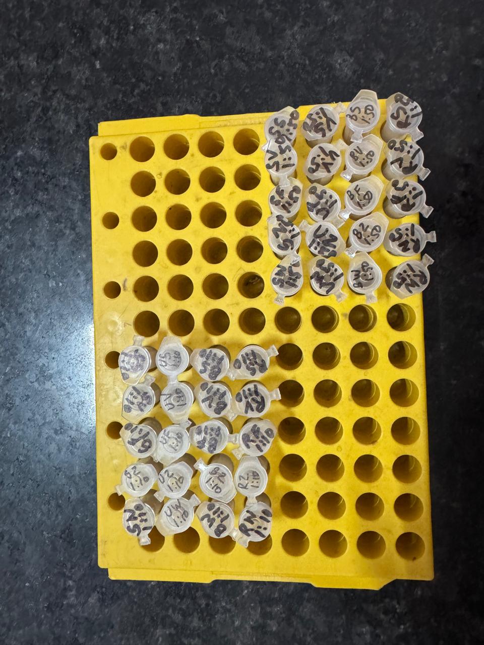 Laboratory testing photograph 7