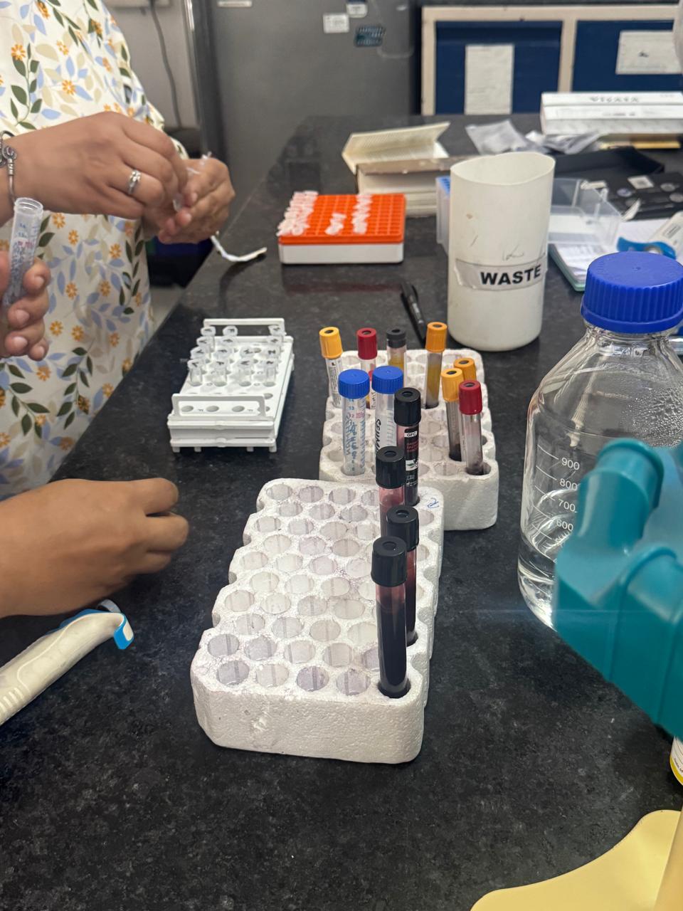 Laboratory testing photograph 10