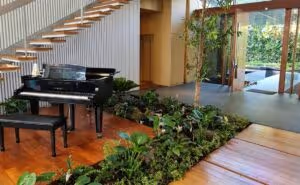 A polished black grand piano takes center stage in an elegant living space, surrounded by a sunken garden bed filled with lush greenery. A modern staircase and glass-panelled doorway accentuate the harmonious blend of nature and sophistication.