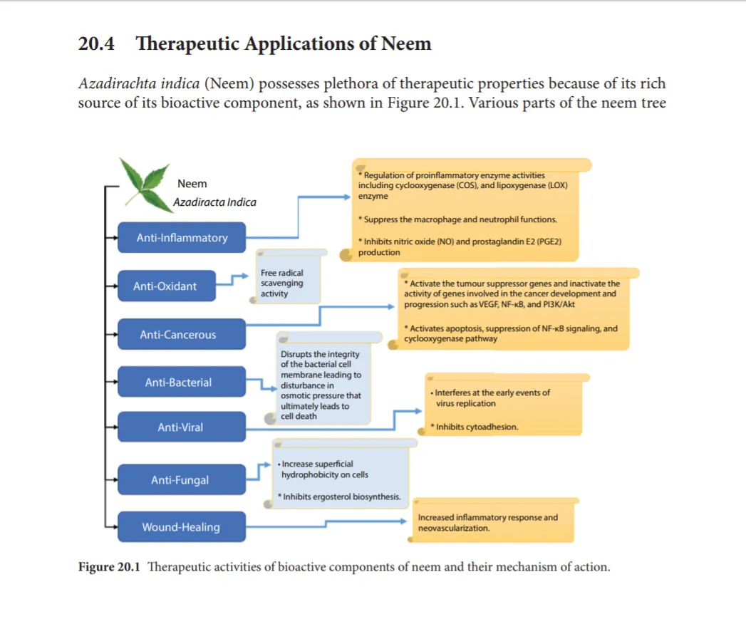 neem-therapeutic-applications