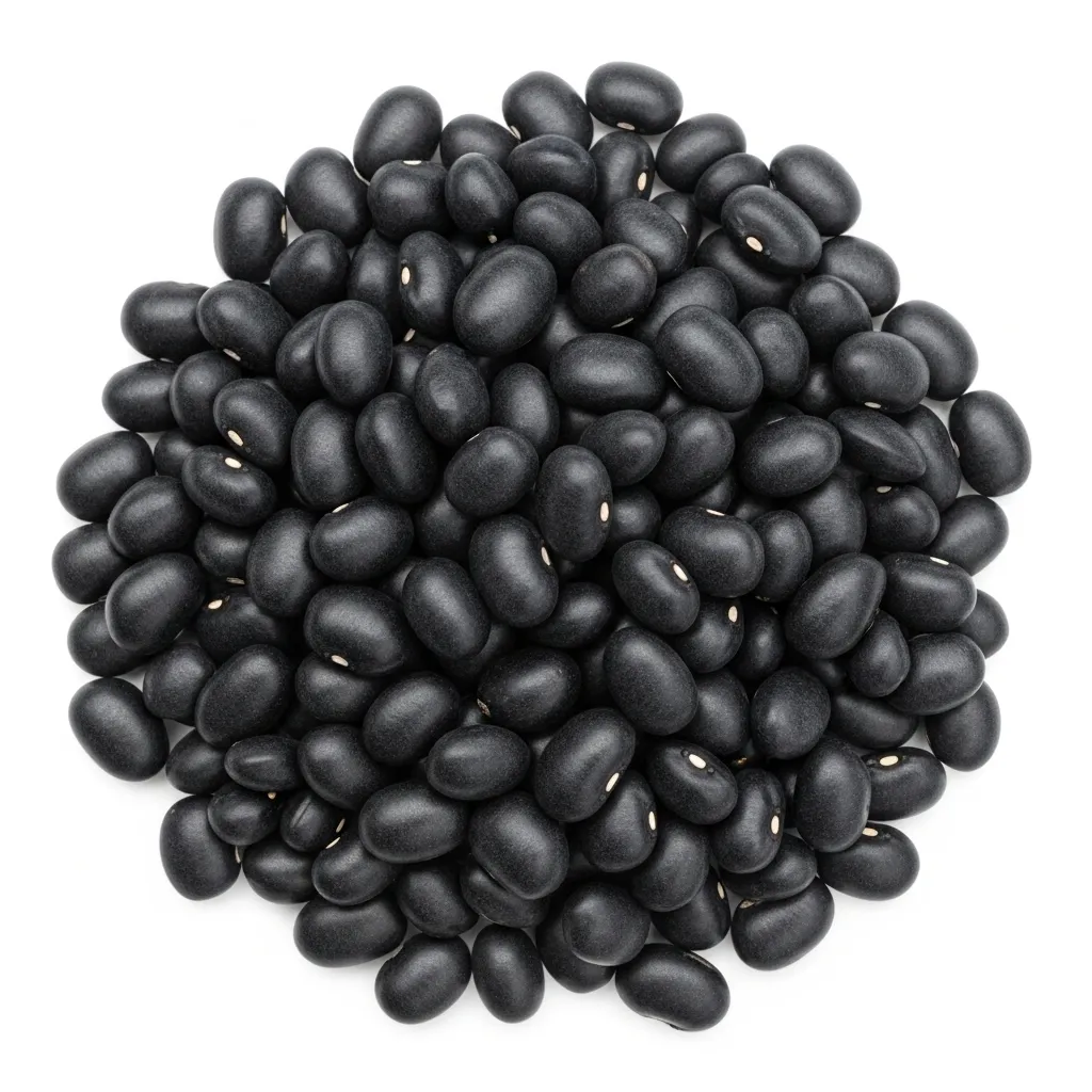 Black Bean ingredient nutrition, cost, sustainability, and supply chain data — Journey AI by Journey Foods