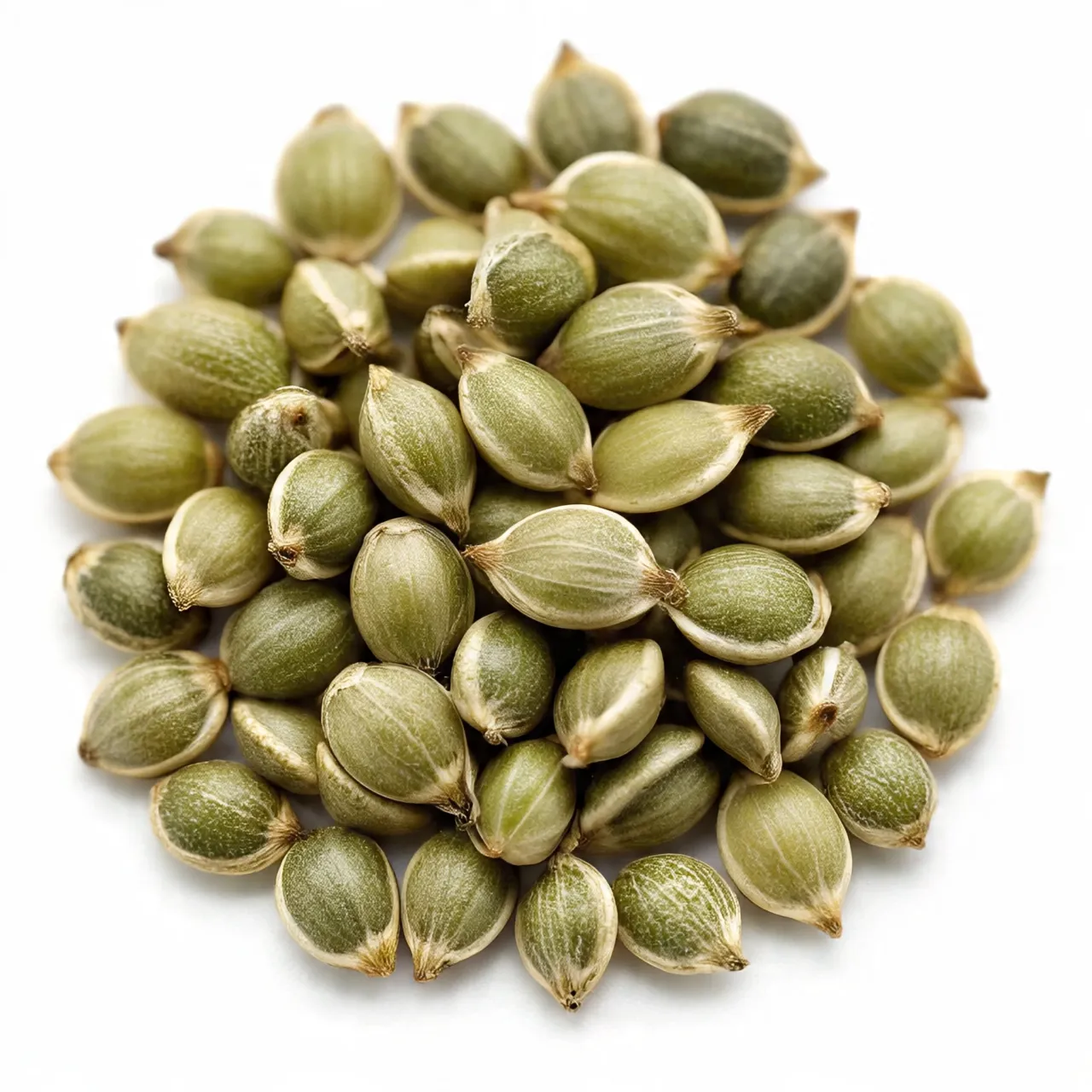 Hemp Seed ingredient nutrition, cost, sustainability, and supply chain data — Journey AI by Journey Foods