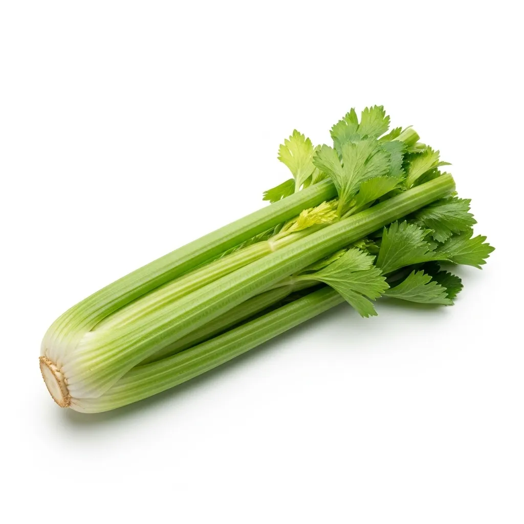 Celery ingredient nutrition, cost, sustainability, and supply chain data — Journey AI by Journey Foods