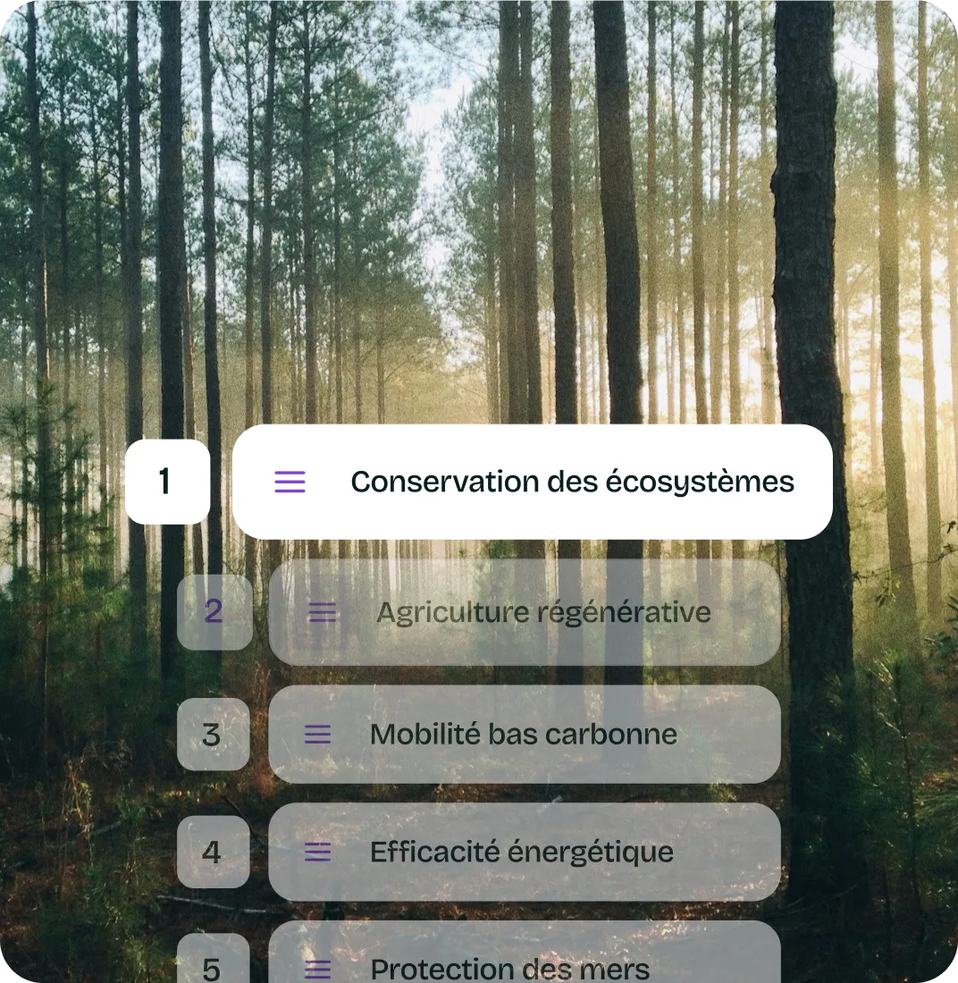 List of environmental priorities over a forest background: Conservation of ecosystems, regenerative agriculture, low-carbon mobility, energy efficiency, sea protection.